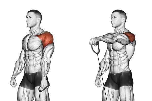 Как можно накачать широкие плечи: оптимальный подбор упражнений