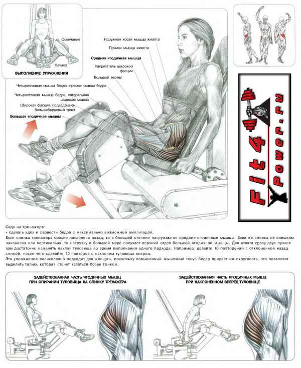 Упражнения для бедер и ягодичных мышц: сведения и разведения ног сидя в специальном тренажере