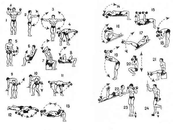 Программа тренировок с гантелями дома - комплекс упражнений для мужчин и дeвyшек