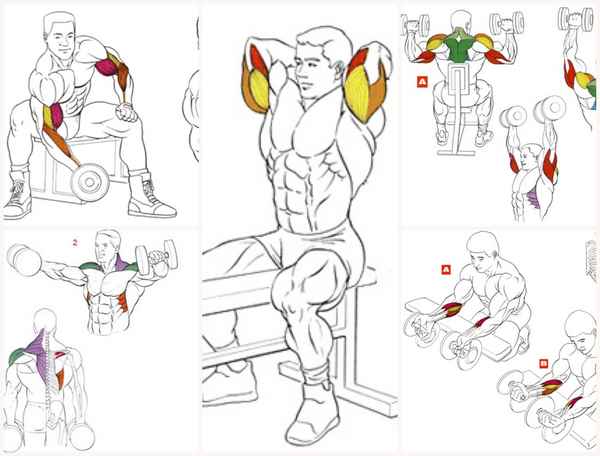 Качаем мышцы рук в пампинговом стиле: тренировка для бицепса и трицепса
