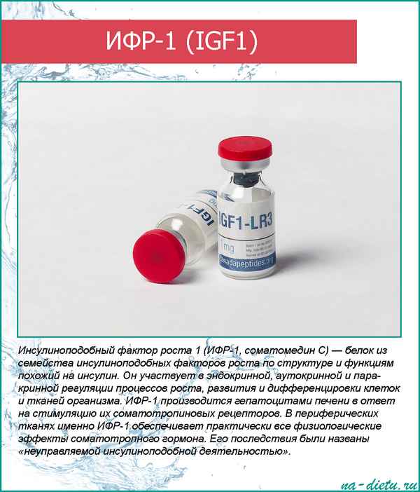 ИФР 1 * IGF 1 (Инсулиноподобный фактор роста)