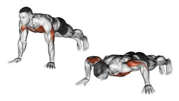 Упражнение для дельтовидных мышц плеча в домашних условиях или на отдыхе. Отжимание от пола.