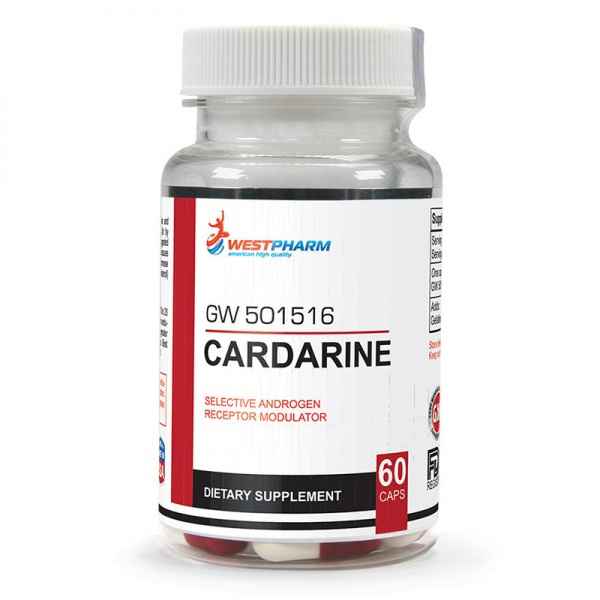 Cardarine * Отзывы о GW 501516