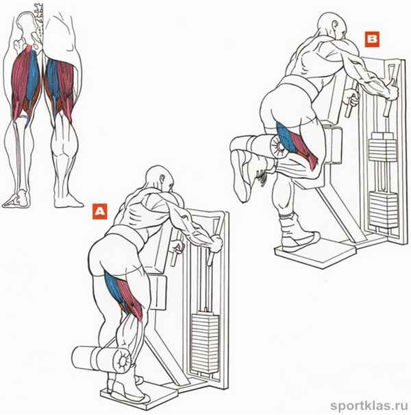 Как накачать мышцы ног в домашних условиях, на улице или в зале. Упражнение пистолет