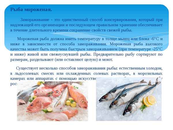 Ухудшается ли качество белка в замороженной рыбе и мясе?
