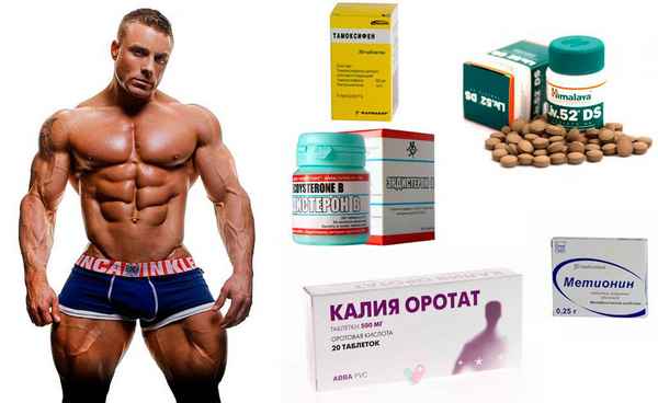Аргинин и орнитин. Анаболические стероиды и мужская потенция.