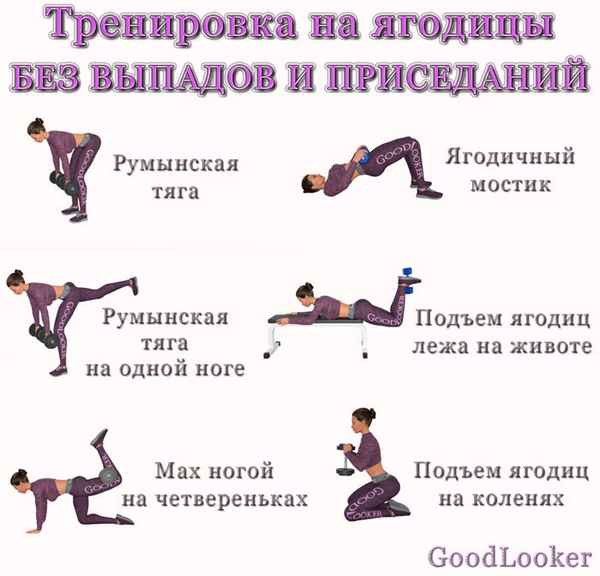 Программа тренировки для ног и ягодичных мышц