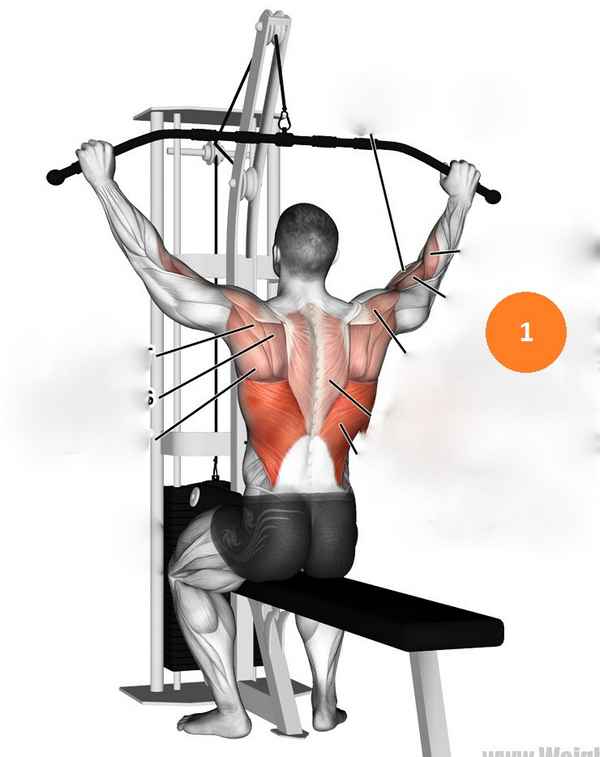 Тренировка широчайших мышц спины тягой у верхних блоков