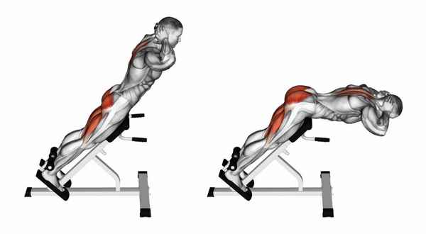 Упражнения для мышц спины: наклоны и гиперэкстензия