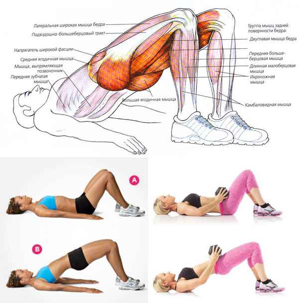 Комплекс упражнений для ягодичных мышц