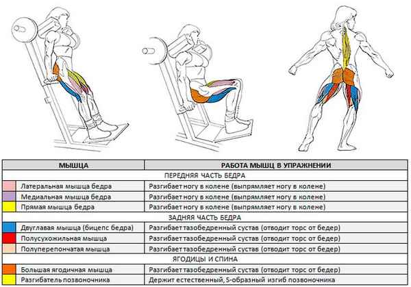 Тренируем квадрицепсы и ягодичные мышцы приседаниями в тренажере для икроножных мышц