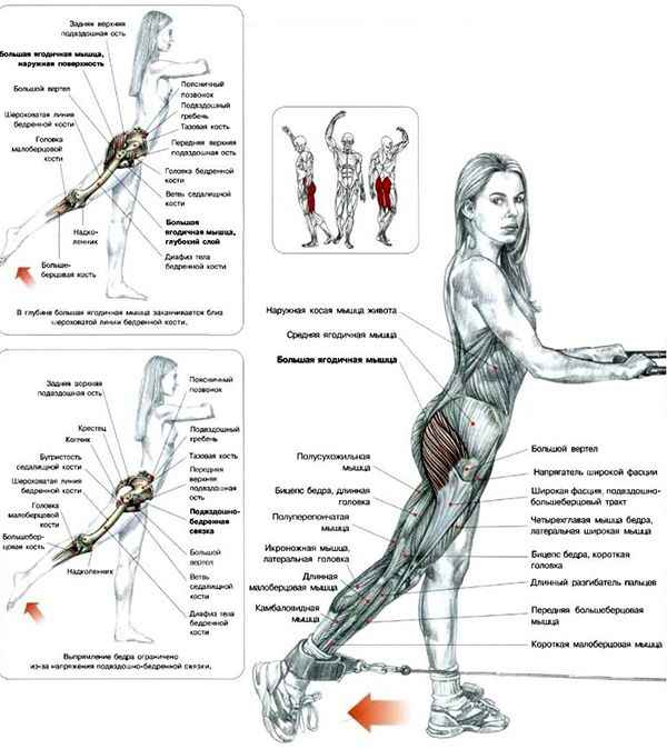 Махи ногами для ягoдиц — лучшие упражнения для проработки нижней части тела