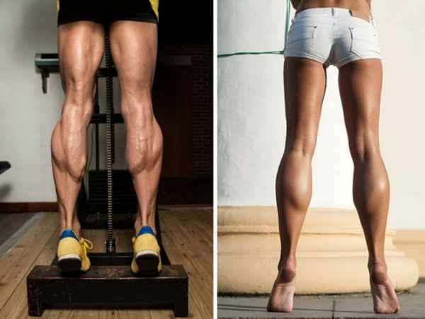 Как накачать икроножные мышцы ног, и как наоборот, похудеть в икрах?