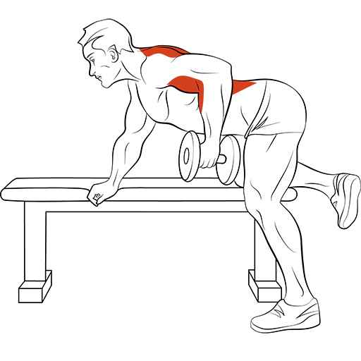 Упражнение тяга гантели к поясу в наклоне: базовое, безопасное. Лучшее для спины?