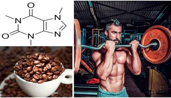 Можно ли пить кофеин перед силовыми тренировками