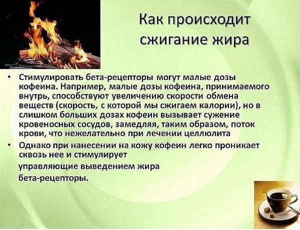 Принцип действия и основные разновидности сжигателей жира