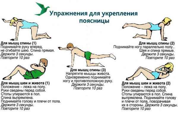 Упражнения для укрепления мышц спины, особенности выполнения.