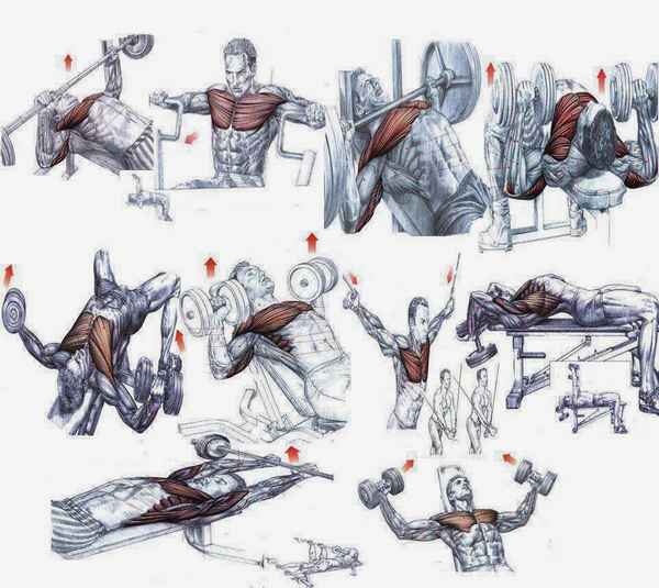 Упражнения для мышц гpyди > Как накачать верх грудных мышц > Жимы лежа на наклонной скамье между нижними блоками кроссовера