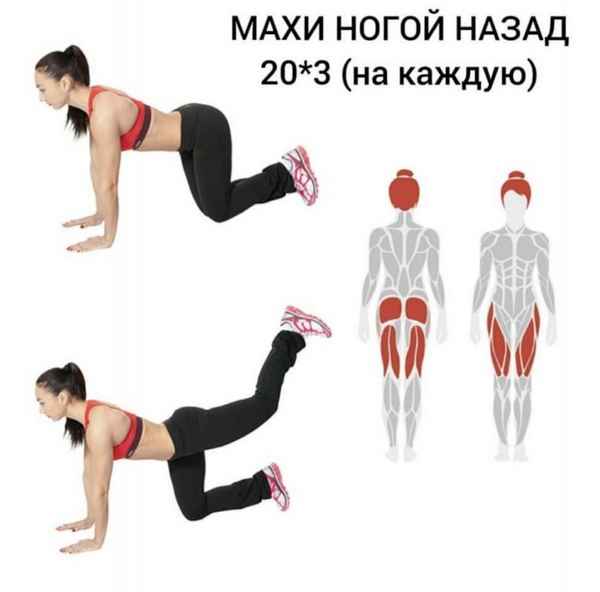 Какие упражнения стоит делать на ягодичные мышцы для быстрого результата