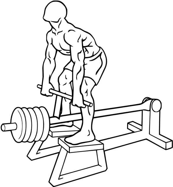 Упражнения для средней части спины: тяга Т-грифа