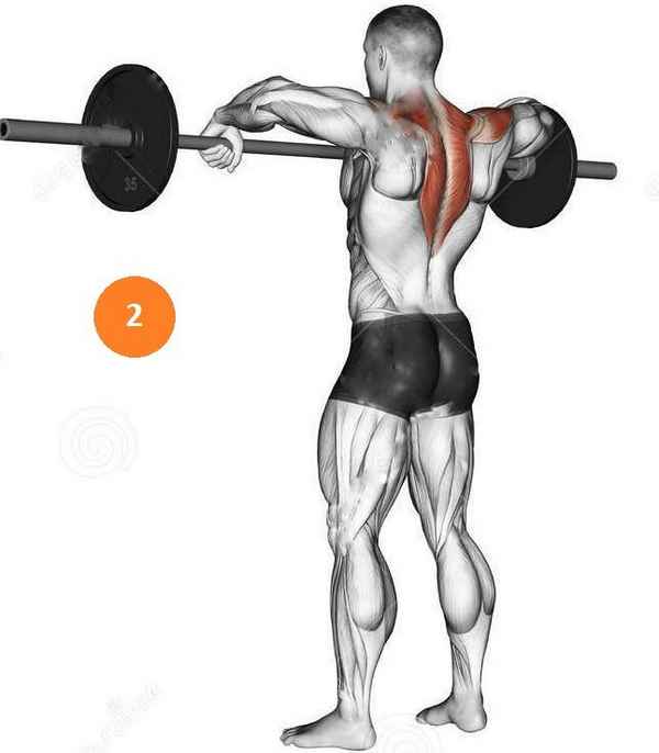 Упражнения для мышц спины: шраги лежа со штангой