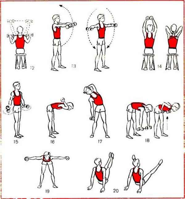 Упражнения для рук > Как увеличить бицепсы > Подъем штанги стоя на бицепс разнохватом (или сгибания рук стоя со штангой разнохватом).