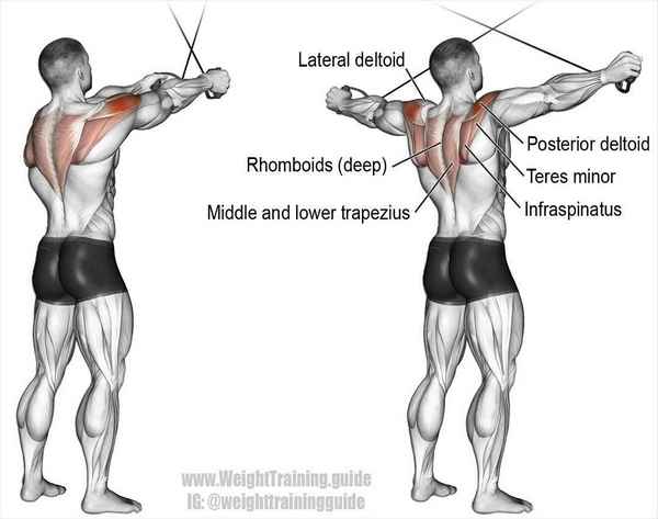 Упражнения для спины.. Как накачать трапециевидные мышцы. Тяга для трапециевидных мышц с канатной рукоятью.